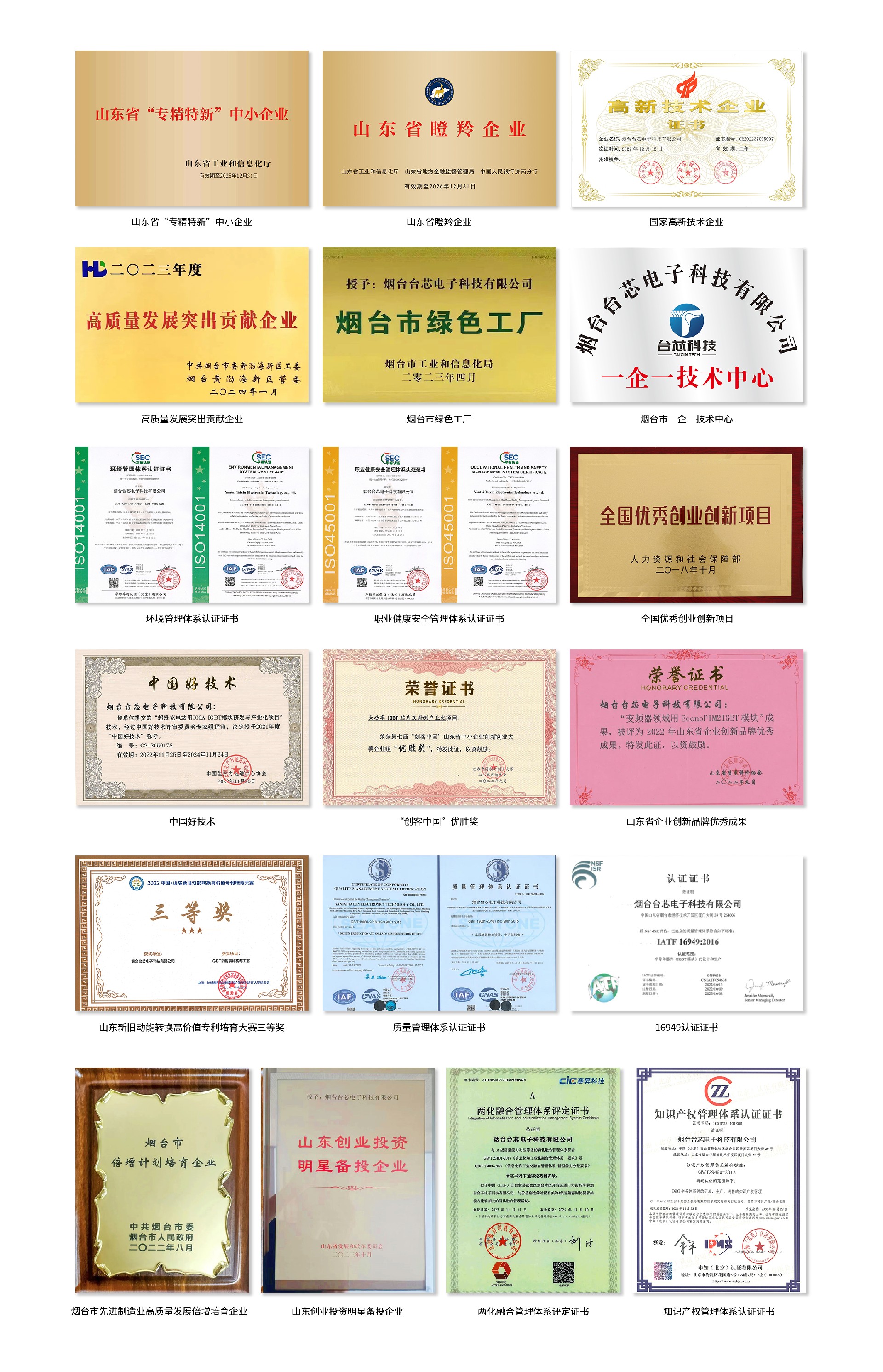 獎(jiǎng)狀2024.jpg